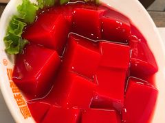 鲜鸭血-晓宇重庆火锅(赛格国际购物中心店)