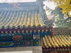 -大慈恩寺(大雁塔)