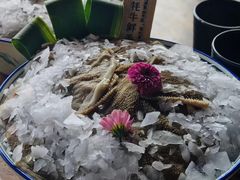 -九鼎轩脆毛肚火锅(三钢里店)