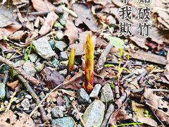 -水磨古镇