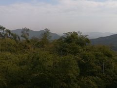 -四明山国家森林公园