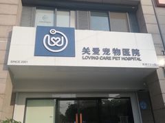 -关爱宠物医院·猫科中心·消化科(滨湖万达分院)