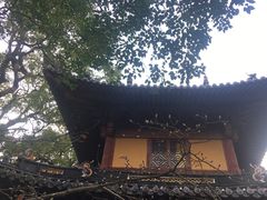 -普陀山风景名胜区-法雨禅寺