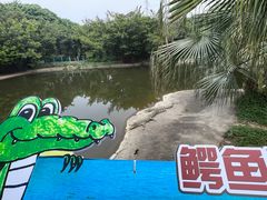 -广州长隆飞鸟乐园