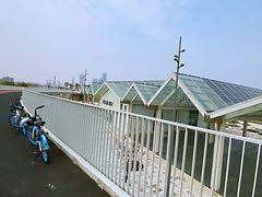 -上海山野camping·户外天幕烧烤·团建拓展营地