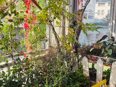 -小时光咖啡馆(北锣鼓巷店)
