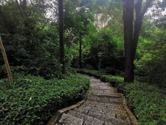 -炮台山公园