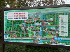 -黄海国家森林公园