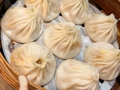 -莱莱小笼·乔艾