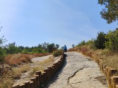 -白水寺森林公园