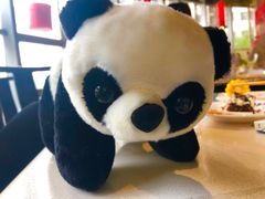 -川西坝子(老军营店)