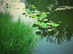 -中关村生命科学园