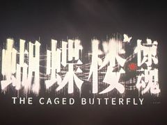 -金棕榈新百世纪影城