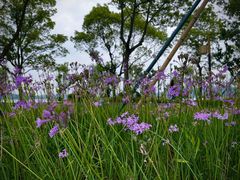 -东钱湖旅游度假区