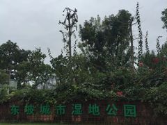 -眉山湿地公园(东坡区)