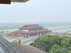 -大湾区中央湿地公园