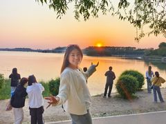 -丁香湖公园