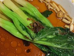 -新白鹿餐厅(百联中环店)