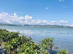 -盐洲岛