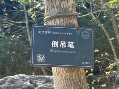 -东莞植物园