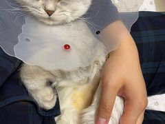 -芭比堂动物医院·CT·微创中心(新顺分院)