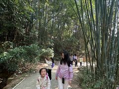 -桃花涧
