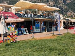 -费特希耶滑翔伞