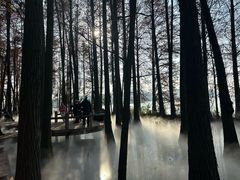 -东湖落雁景区
