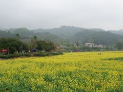 -红山村