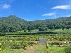 -北高峰