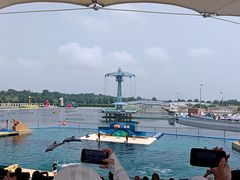 -秦皇岛乐岛海洋王国