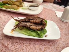 -瑞福园联谊餐室(茂名南路店)