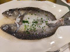 -金河半岛园林酒家(金融城店)