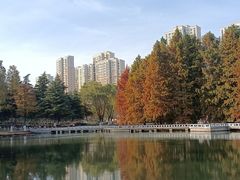 -白塘生态植物园