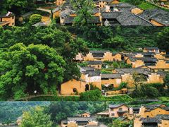 -杨家堂村