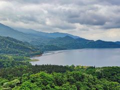 -酒仙湖景区