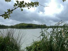 -昆山城市生态森林公园