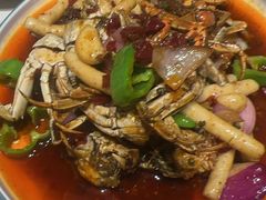 -杨氏青龙虾·羊肉季(金盛路总店)