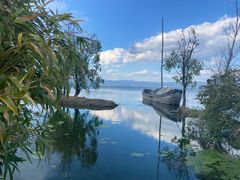 -洱海月湿地公园