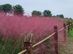 -汉长安城未央宫国家考古遗址公园