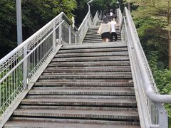 -佛山华盖山公园