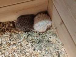 -酷嗒动物文化乐园(cutezoo西溪乐天城店)