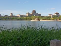 -莲花池公园