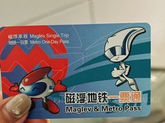 -龙阳路磁悬浮列车总站-停车场