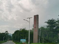 -广州白江湖森林公园