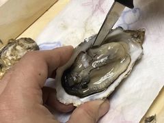 -Oyster Talks 四度蚝法餐厅