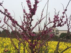 -江南大学(蠡湖校区)