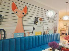 -Tomado绿色烘焙(大尧三路店)