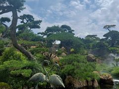 -罗红摄影艺术馆