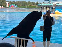 -秦皇岛乐岛海洋王国